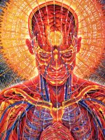 252648c5cb1fccc4c9c8054be42091f6 252648c5cb1fccc4c9c8054be42091f6