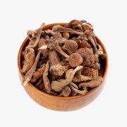 Buy magic mushrooms online